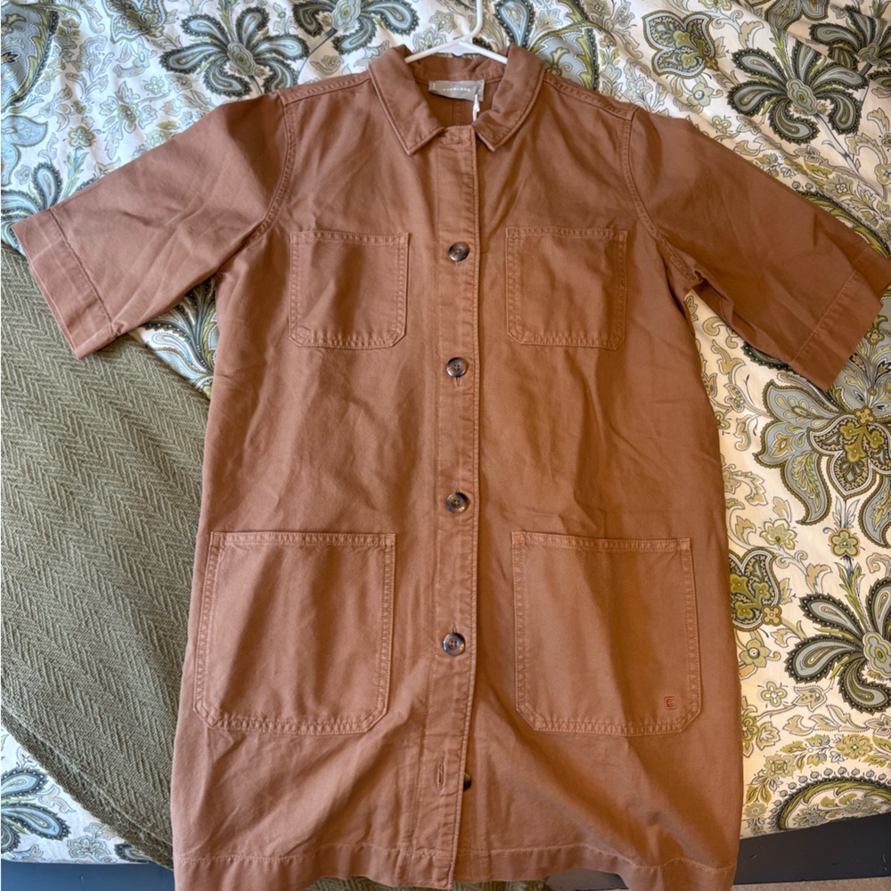 Everlane Burnt Orange Denim Dress